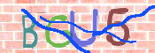 CAPTCHA-Bild